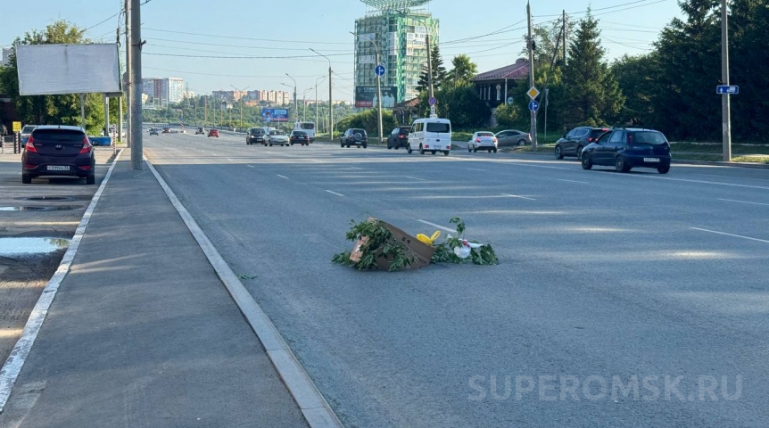 На дороге в центре Омска образовалась яма На дороге в центре Омска образовалась яма