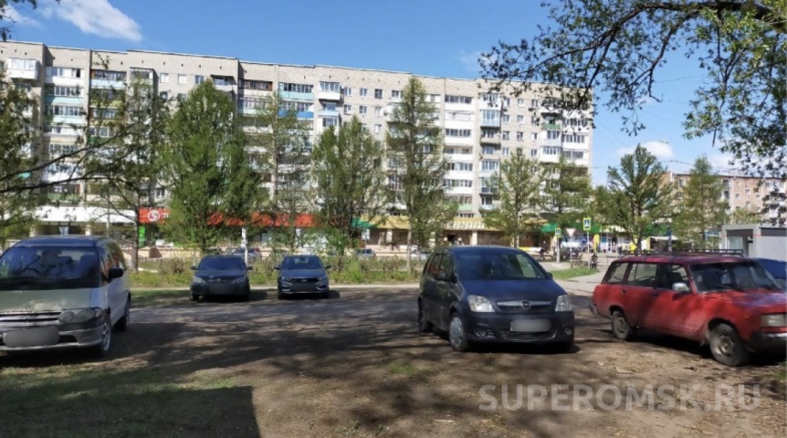 В Омске к штрафу за «газон» добавляют и землю без травы В Омске к штрафу за «газон» добавляют и землю без травы