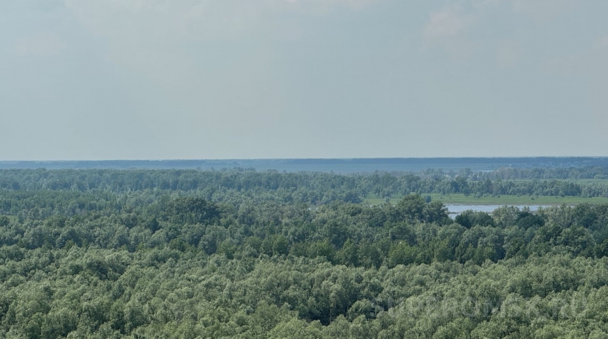 На Левобережье Омска анонсировали новый парк На Левобережье Омска анонсировали новый парк