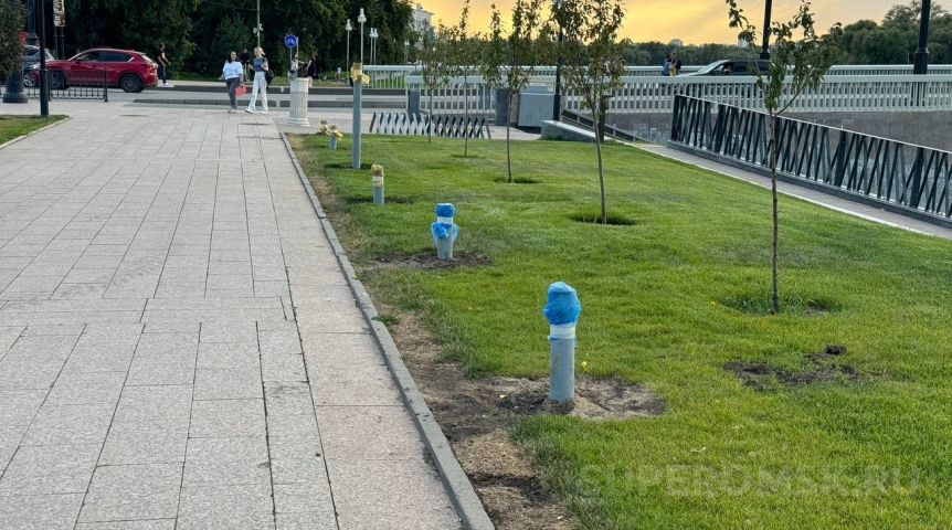 На Аллее олимпийцев в Омске подготовили площадку под новые бюсты На Аллее олимпийцев в Омске подготовили площадку под новые бюсты