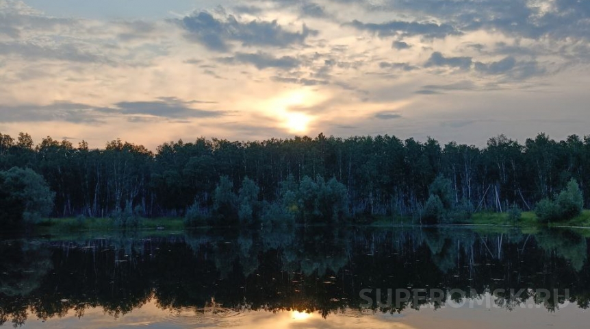В пруду на севере Омской области обнаружили авто с трупом водителя В пруду на севере Омской области обнаружили авто с трупом водителя