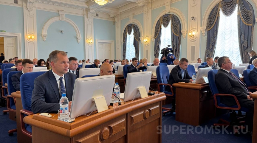Главное Депутаты обсудили штрафы для омских автовладельцев за препятствия у мусорок