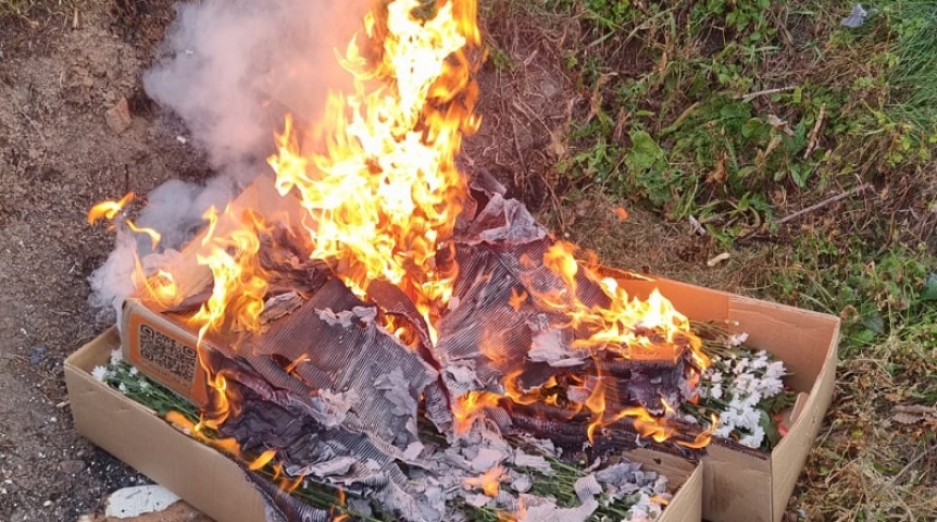 В Омске сожгли партию опасных цветов из Казахстана В Омске сожгли партию опасных цветов из Казахстана