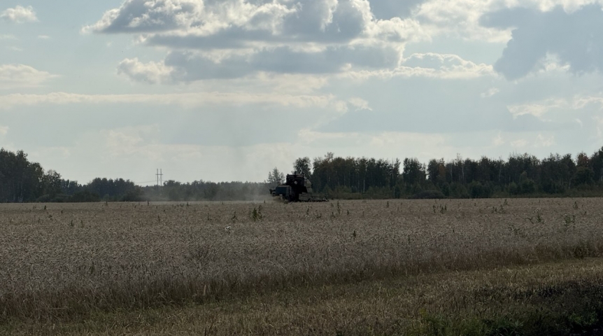На уборочной в Омской области загорелся комбайн На уборочной в Омской области загорелся комбайн
