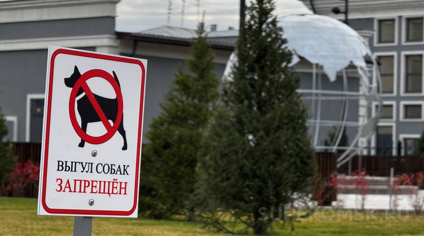 Общество В омском Городском саду установили запрет на выгул собак