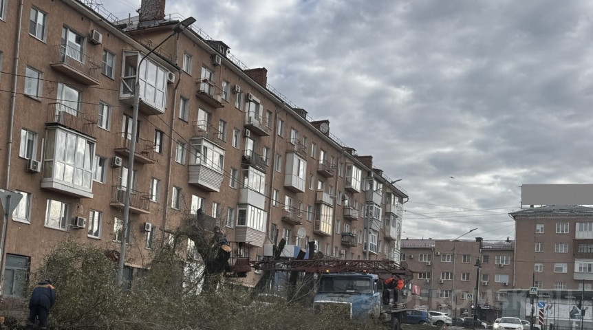Общество У Ленинградского моста в Омске кронируют деревья