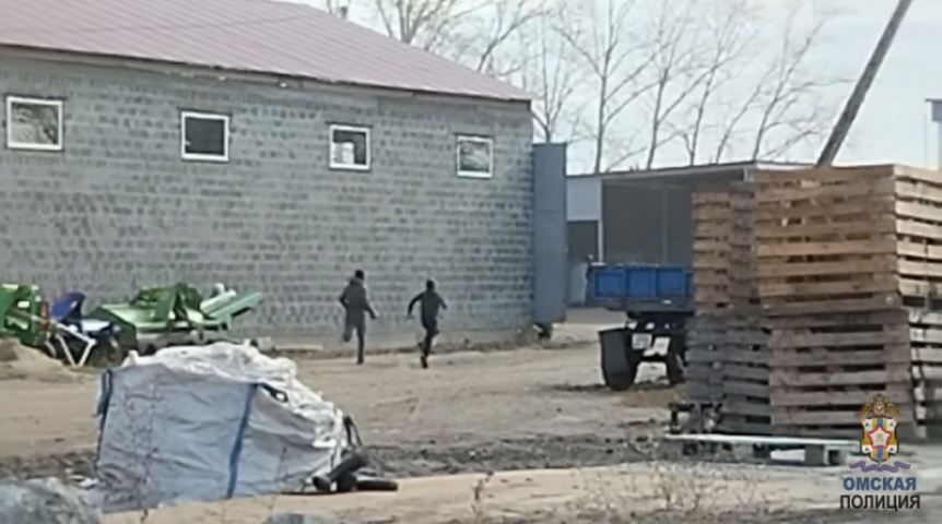 Появилось видео облавы на мигрантов на омском сельхозпредприятии Появилось видео облавы на мигрантов на омском сельхозпредприятии