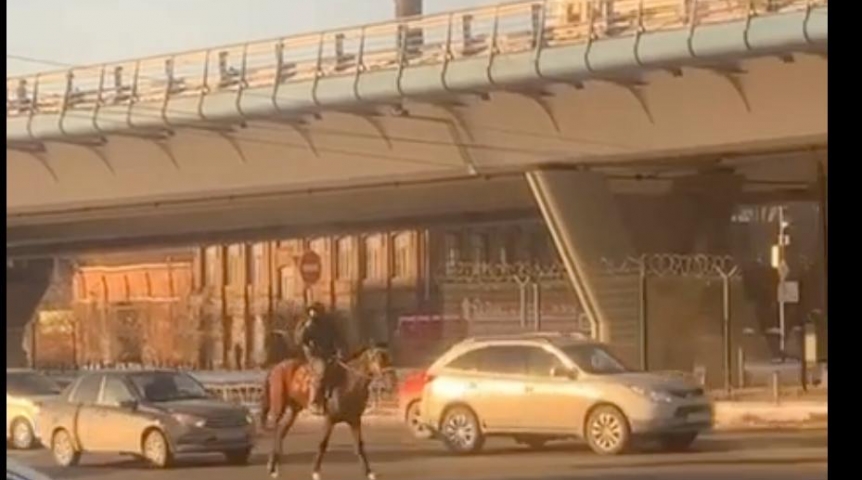 Общество После подорожания бензина в центре Омска заметили всадника