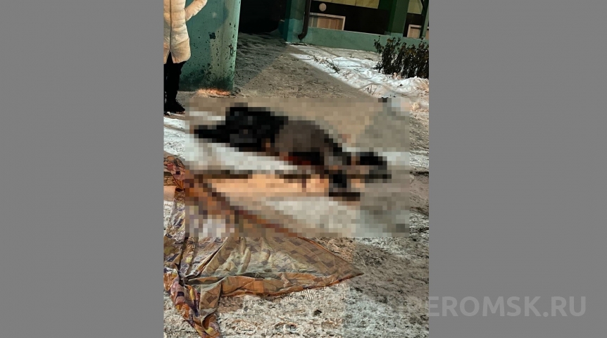 Происшествия в Омске Под окнами дома в центре Омска нашли труп омички, боровшейся с болезнью