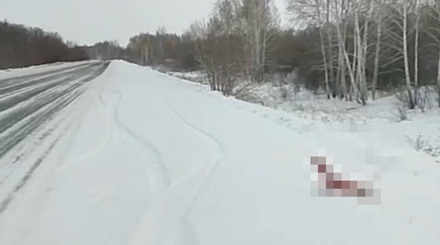 Общество У трассы под Омском обнаружили застывший жуткий труп