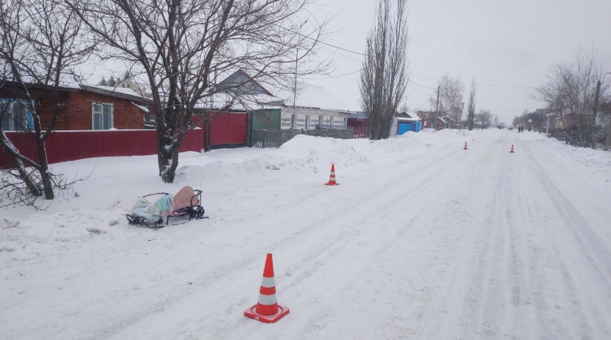 В Омской области задержали водителя, сбившего насмерть маленькую девочку В Омской области задержали водителя, сбившего насмерть маленькую девочку