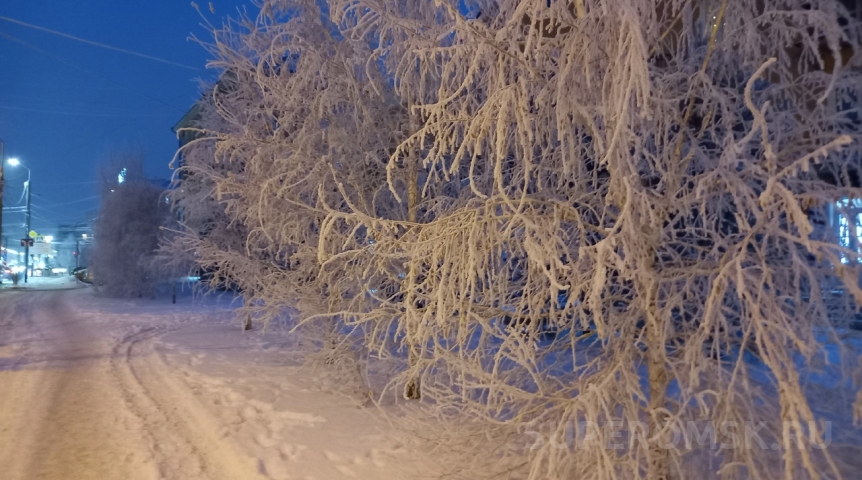 По Омску среди зимы ходит девушка в майке и шортах, но в шапке По Омску среди зимы ходит девушка в майке и шортах, но в шапке
