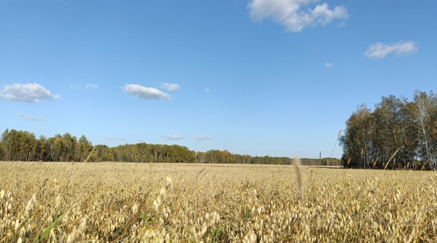 Описанная земля и техника омского агрария пред торгами скинула часть цены Описанная земля и техника омского агрария пред торгами скинула часть цены