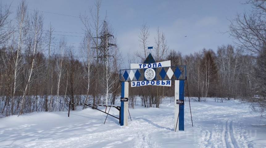 В популярном парке установят официальную слежку за омичами В популярном парке установят официальную слежку за омичами