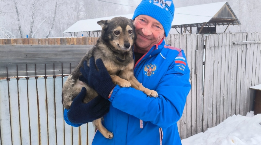 Общество В Омске маленькая собачка Ханна Петровна обрадовалась, что ее выкинули