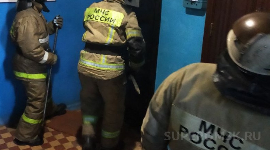 Происшествия в Омске Из полыхающей квартиры на проспекте Маркса в Омске спасли двух детей