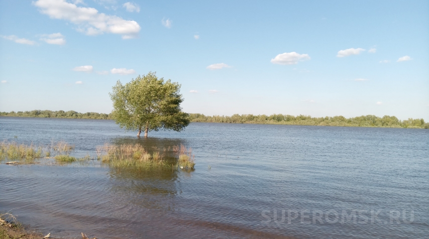 В Омске на Иртыше и Оми ждут сверхнормативный паводок В Омске на Иртыше и Оми ждут сверхнормативный паводок