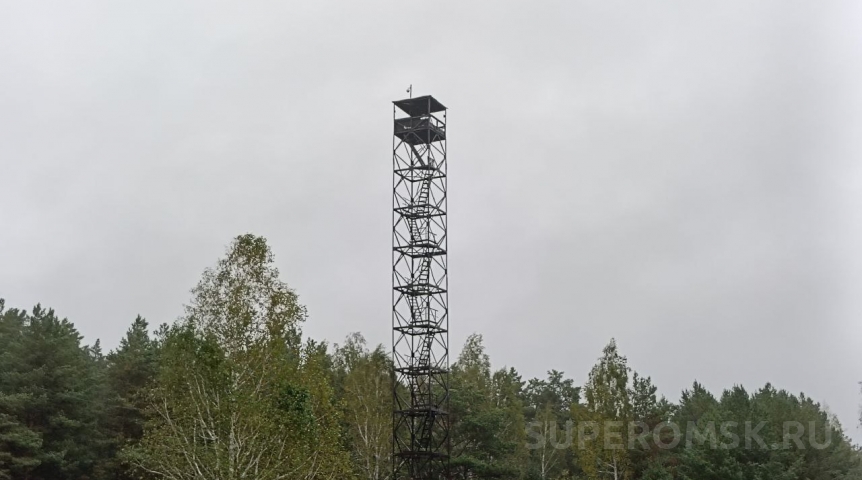 Происшествия в Омске Омичам предлагают заработать на поджигателях леса