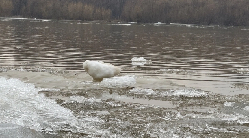 Общество На юге Омской области вода прорвалась через насыпь в деревню