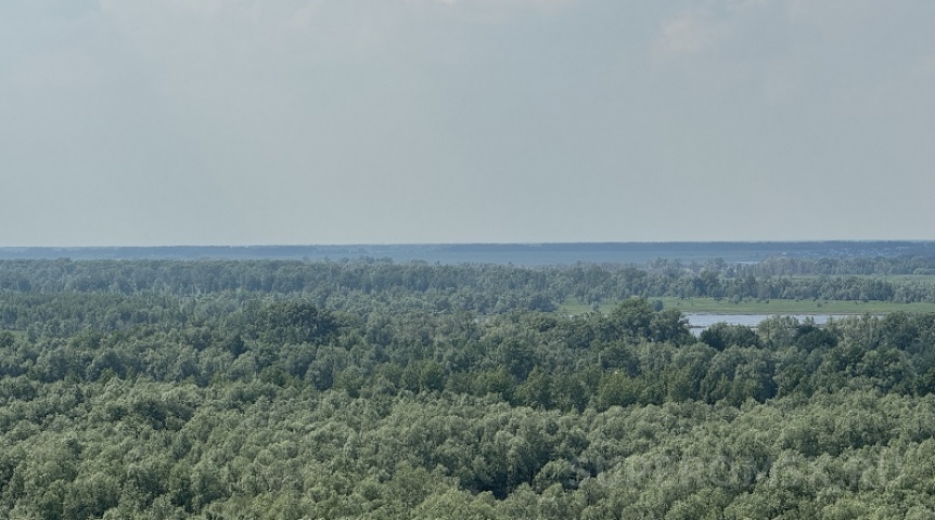 Город Омичей попросили временно не ходить в парк имени 300-летия города