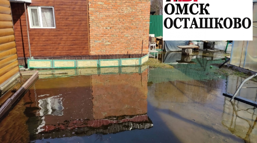 Общество Омичи запустили акцию «ЯМЫОсташково»