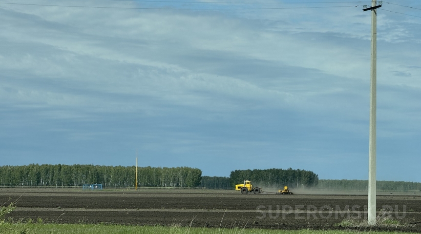 Сельское хозяйство В Омской области из-за погоды приостановили посевную кампанию