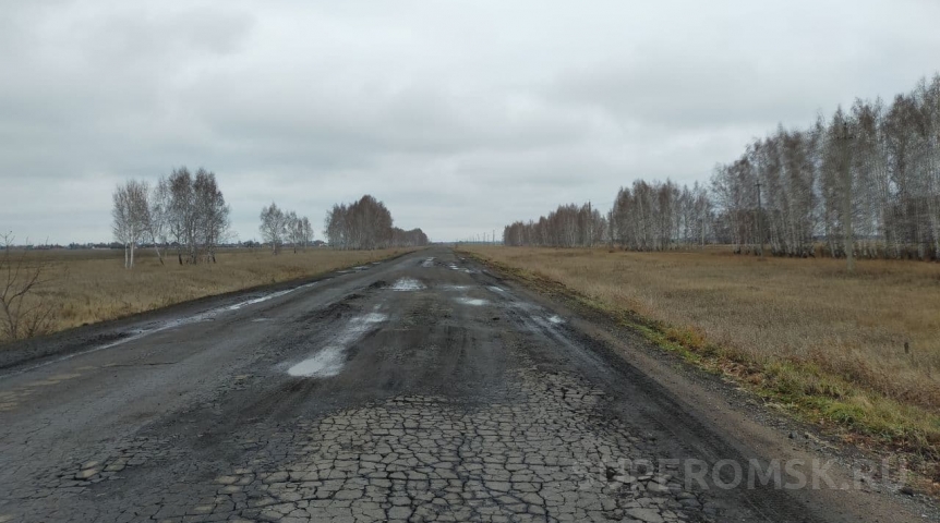 Общество Омичи заметили в центре города «дорожную фею»