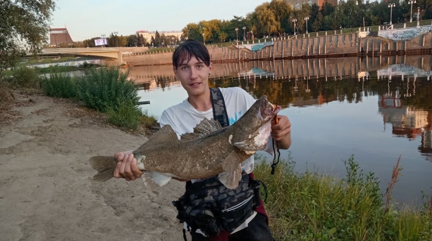 В центре Омска поймали гигантского судака В центре Омска поймали гигантского судака