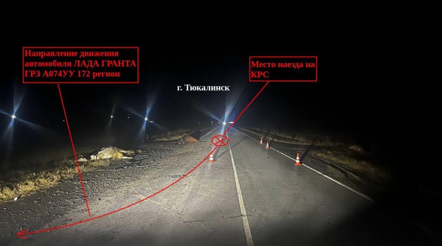 В Омской области стадо коров погибло в жутком ДТП В Омской области стадо коров погибло в жутком ДТП