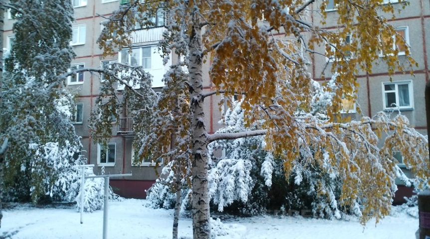 На Омск и область обрушится снежный циклон с севера На Омск и область обрушится снежный циклон с севера