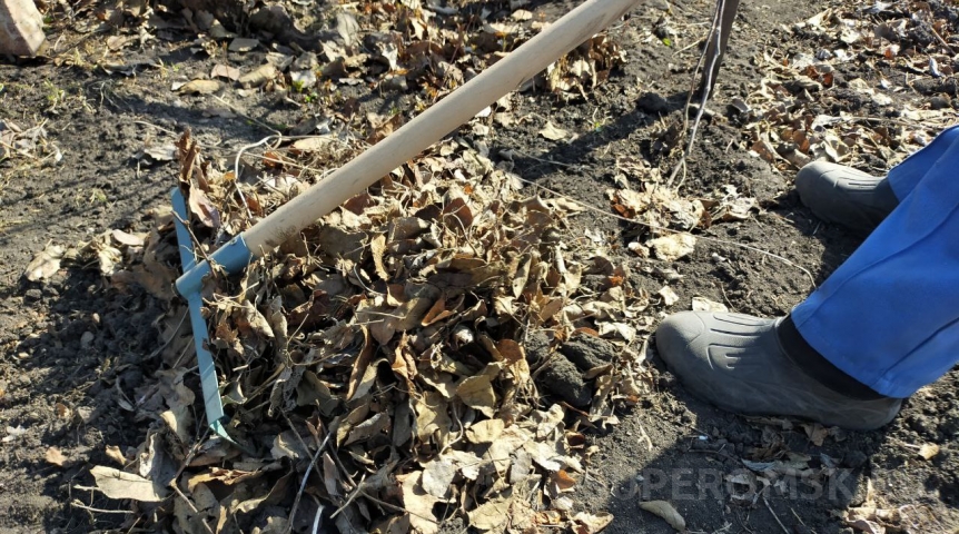 Общество Омичей призывают на общегородской субботник