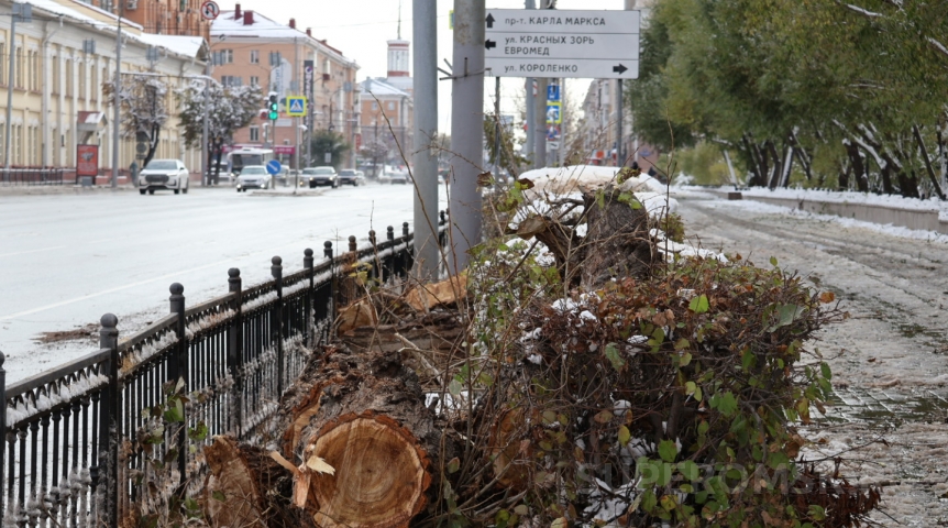 В Омске начали вырубать деревья у ТЮЗа В Омске начали вырубать деревья у ТЮЗа