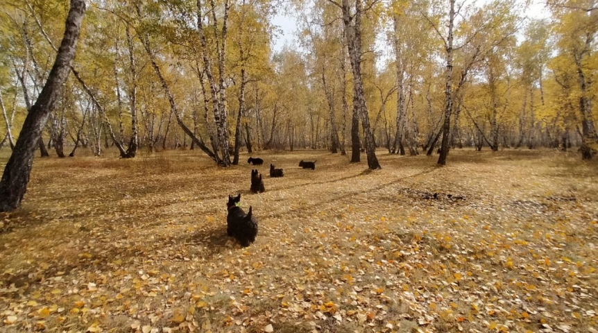 Погода в Омске В Омск возвращается тепло