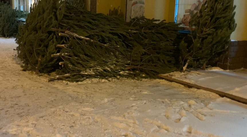Общество В Омской области получателям крупных партий елей выдали предостережения