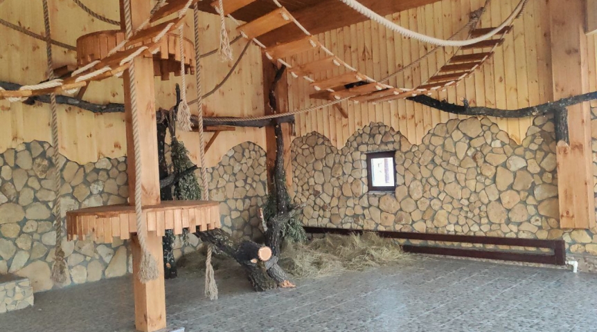 В Большереченском зоопарке заселили первую в регионе «коммунальную квартиру» В Большереченском зоопарке заселили первую в регионе «коммунальную квартиру»