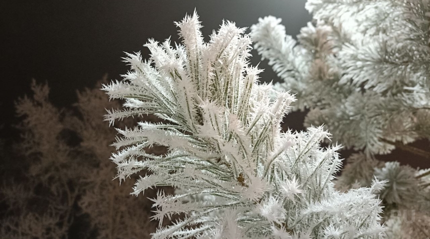 Общество На Омскую область идет экстремальное похолодание до -36 °C