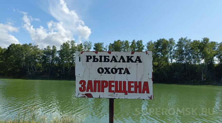 Общество Жители Омской области высказались против передачи озера в аренду