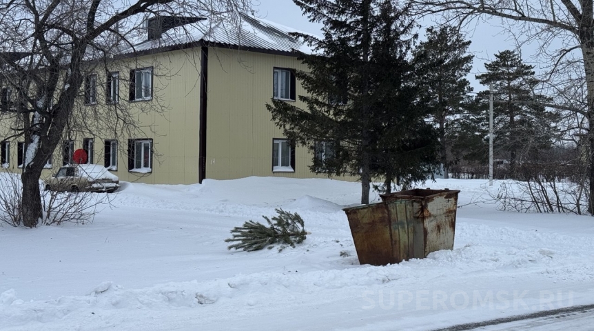 Общество Не покупают елки: омичи перестали верить в главный символ Нового года?