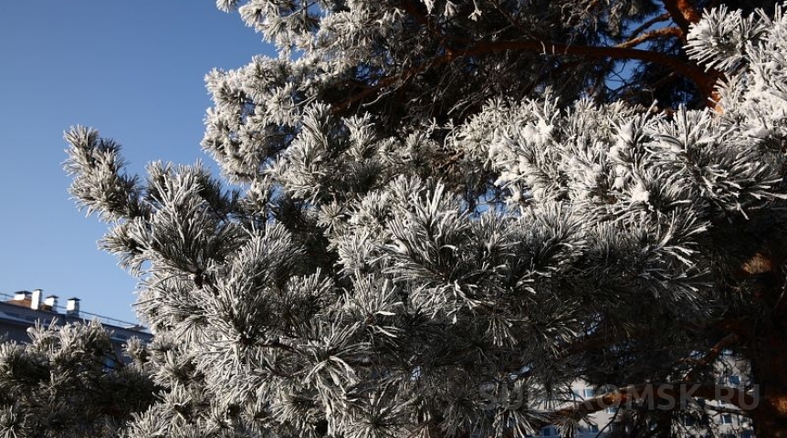 Ниже -40°C: по Омской области объявили опасное явление Ниже -40°C: по Омской области объявили опасное явление