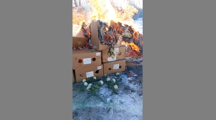В Омской области перед 8 Марта сожгли 1,7 тысячи цветов В Омской области перед 8 Марта сожгли 1,7 тысячи цветов