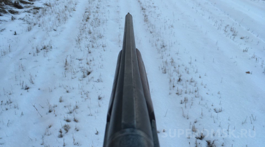 Отстрел медведя разрешили еще в трех омских районах