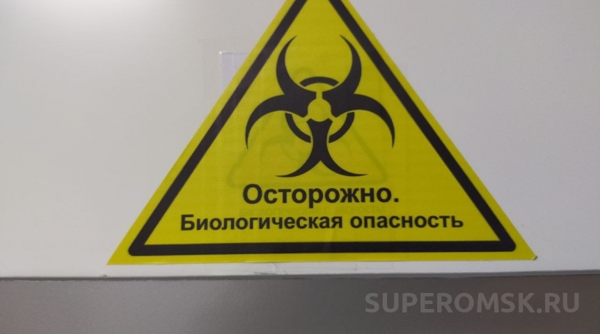 Общество Еще в одном районе Омской области введен карантин по бешенству