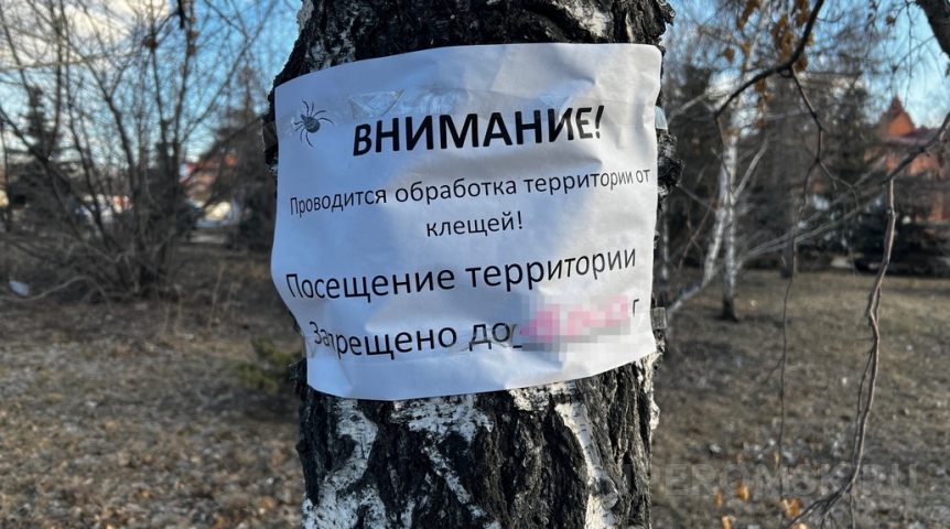 Появился график обработки омских парков от клещей Появился график обработки омских парков от клещей