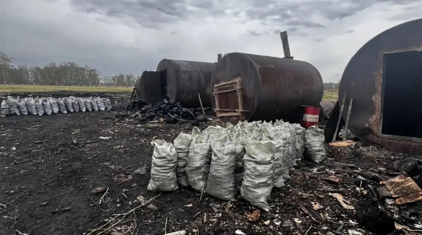 Под Омском закрыли нелегальное производство угля в экозоне