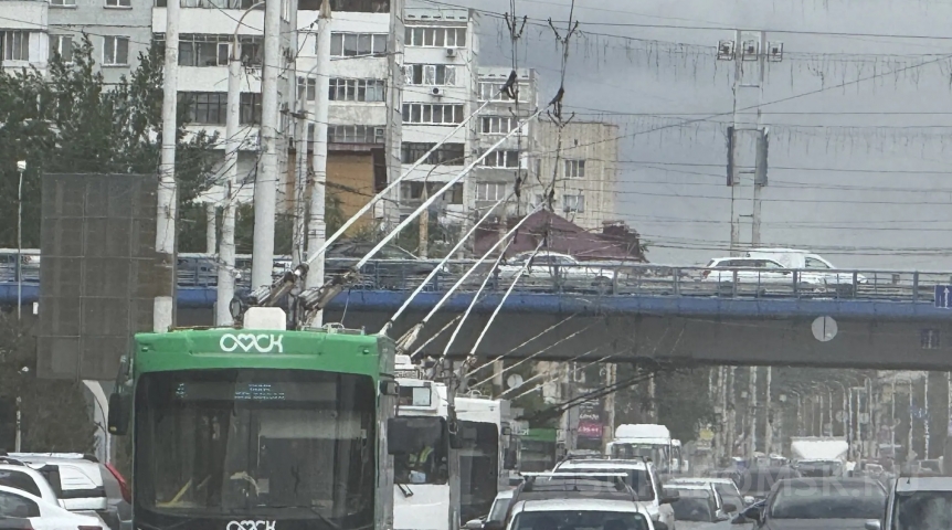 В центре Омска остановилось движение троллейбусов