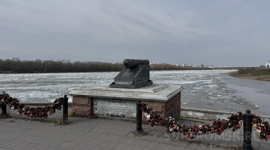 Общество В Омске вслед за шаром на площади Бухгольца взялись за пушку