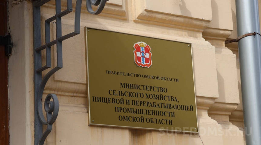 В Омской области назначены два министра