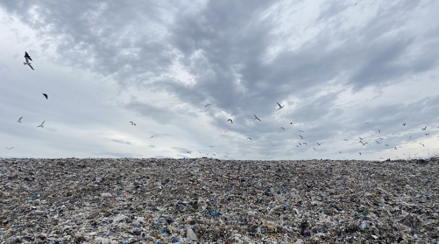 Общество В Минприроды отреагировали на огромную свалку протухших овощей под Омском