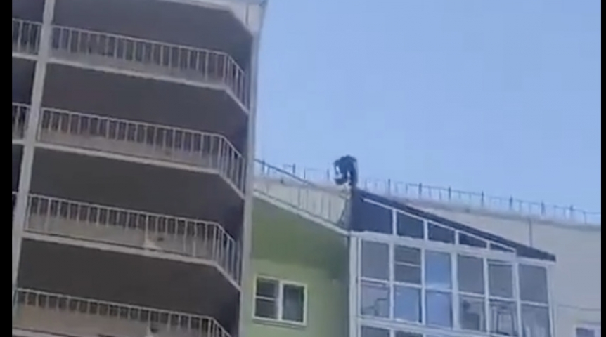 В Омске ребенок залез на скатный козырек балкона многоэтажки В Омске ребенок залез на скатный козырек балкона многоэтажки