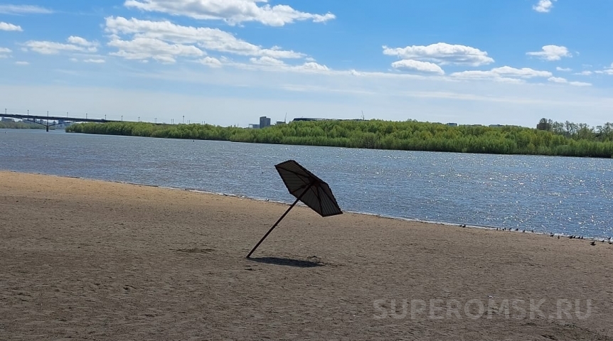 Общество На омском пляже нашли паразитов